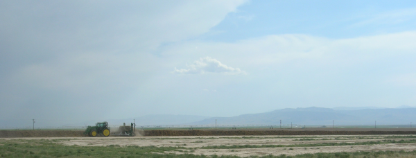 compost site at Webb Basin Dairy