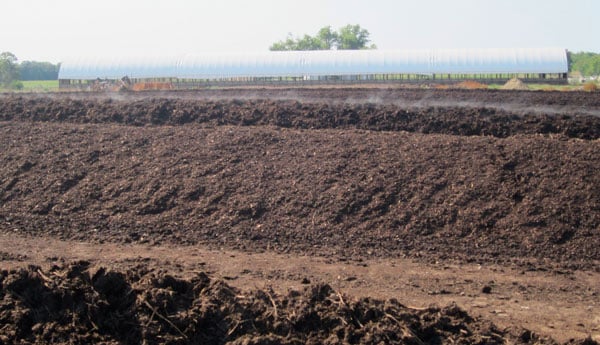 feedlot waste managment