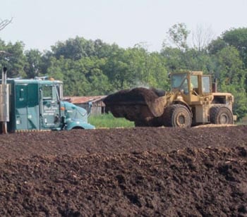 feedlot waste management