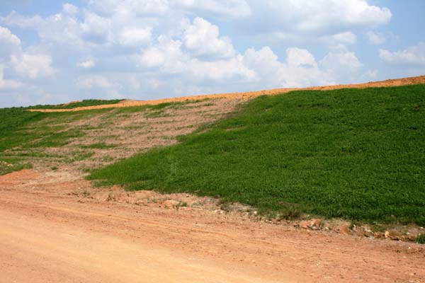 composting biosolids 2