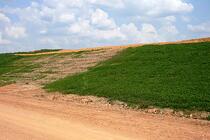 Michael Snipes has documented that his compost grows healthier grass slopes than commercial fertilizer. A major cost-savings, and the grass grows better!